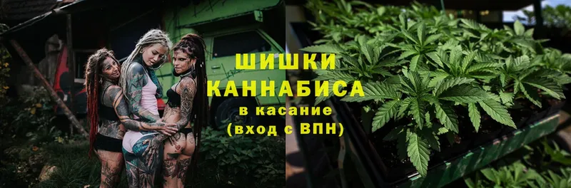 Бошки Шишки White Widow  Грязовец 